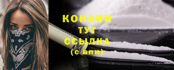 спайс Гусь-Хрустальный