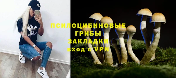 сатива Гусиноозёрск
