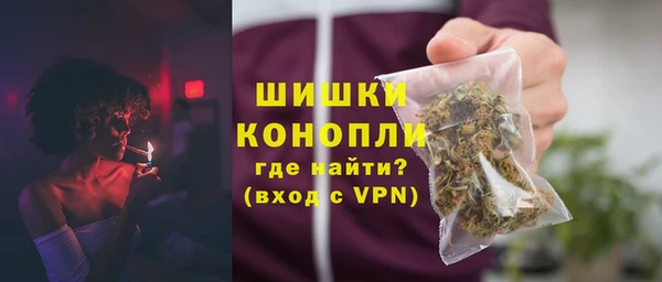 спайс Гусь-Хрустальный