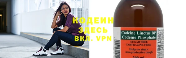 спайс Гусь-Хрустальный