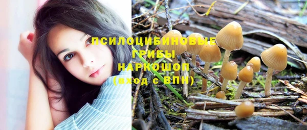 сатива Гусиноозёрск