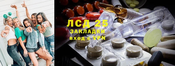 спайс Гусь-Хрустальный