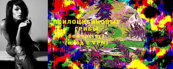альфа пвп Гусев