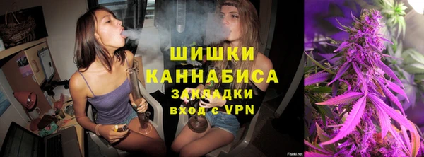сатива Гусиноозёрск