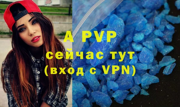 сатива Гусиноозёрск